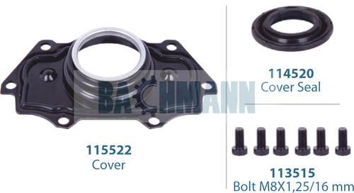 [111036] Caliper Cover Kit