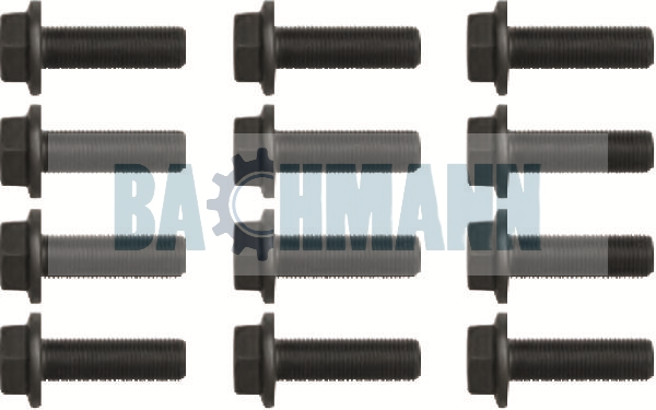 Caliper Bolt Kit