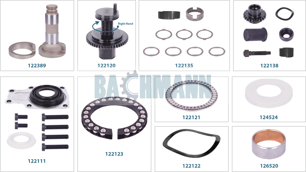 Caliper Complete Repair Kit (Right)