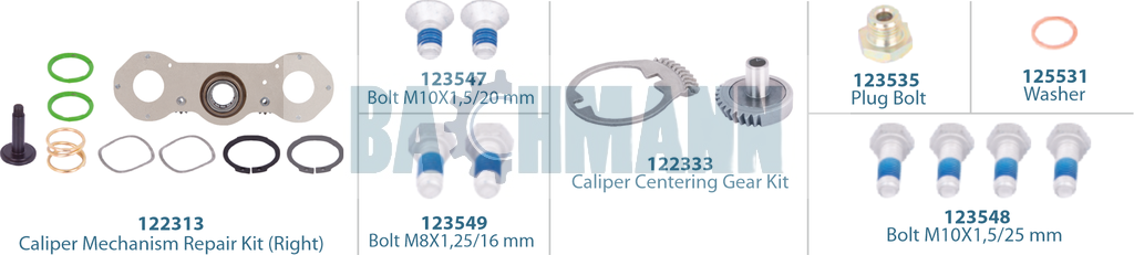 Caliper Mechanism Repair Kit (Right) 