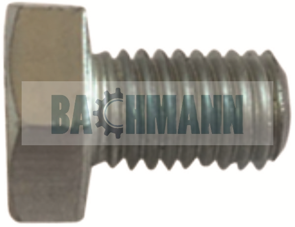 Bolt M10X1.5/16 mm