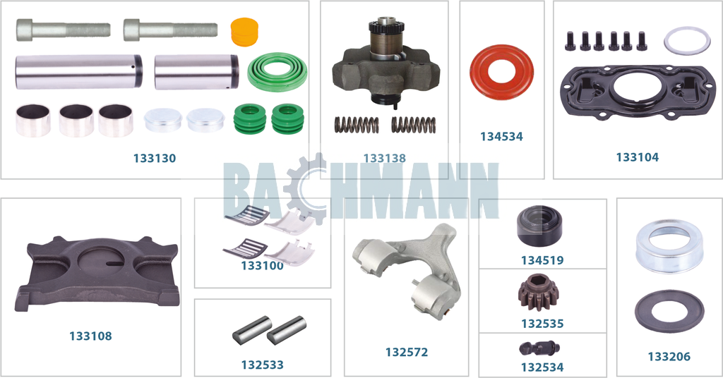 Caliper Complete Repair Kit (Left)