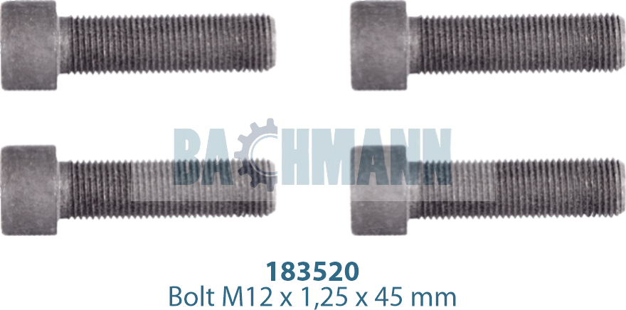 Caliper Cover Bolt Kit