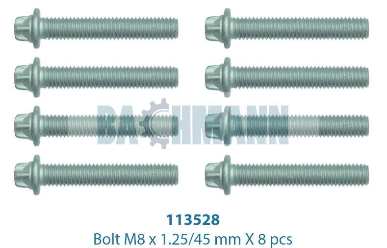 Caliper Bolt Kit