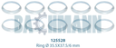 Caliper Ring Kit