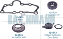 Caliper Gasket Kit