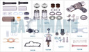 Caliper Complete Repair Kit