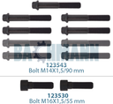 Caliper Cover Bolt Kit