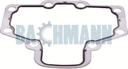 Caliper Gasket 