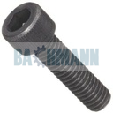 Caliper Bolt M14X2/55 mm