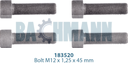 Caliper Cover Bolt Kit